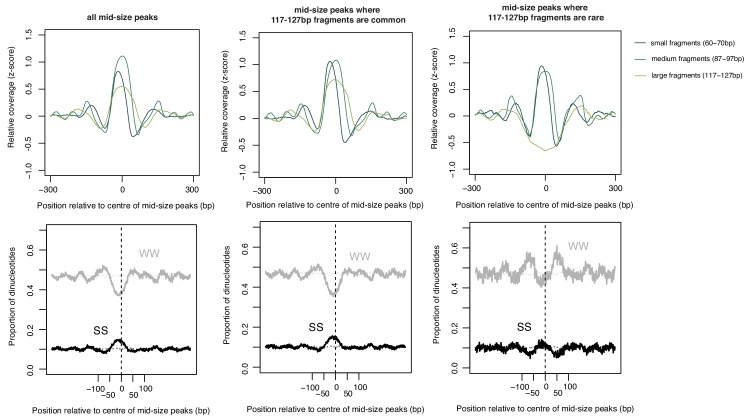 Figure 4—figure supplement 3.