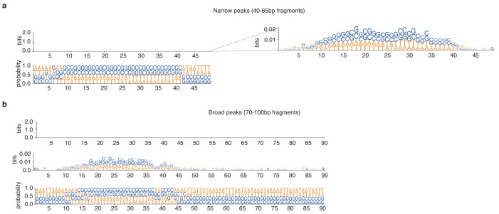 Figure 4—figure supplement 1.