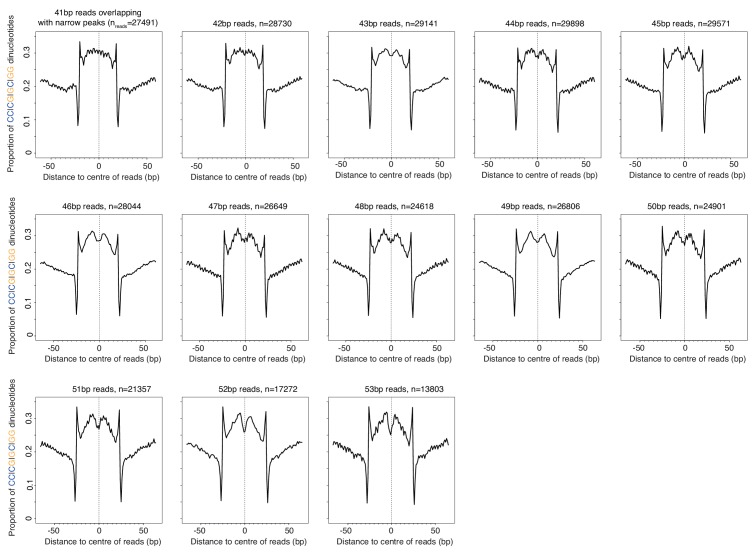 Figure 5—figure supplement 1.