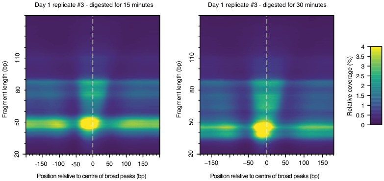 Figure 3—figure supplement 3.