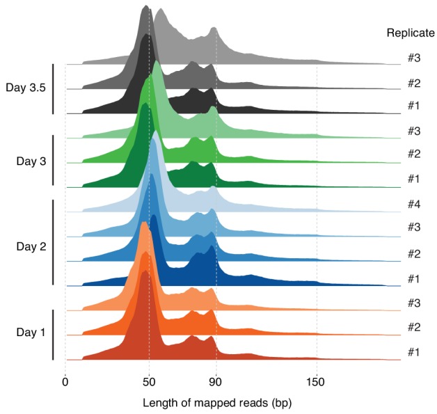 Figure 3—figure supplement 2.