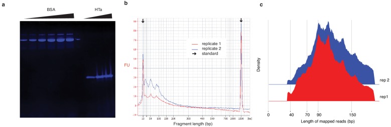 Figure 6—figure supplement 1.