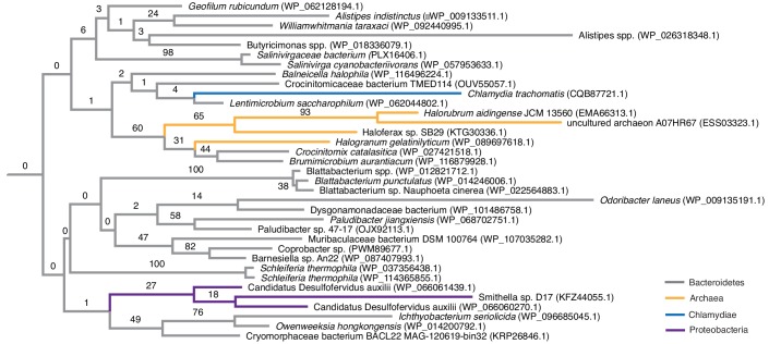 Figure 2—figure supplement 1.