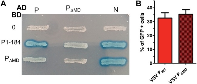 FIG 4