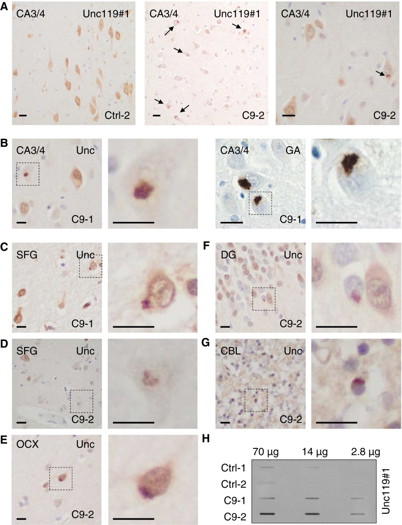 Fig. 6