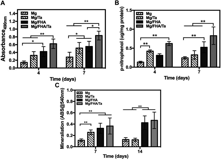 FIGURE 7