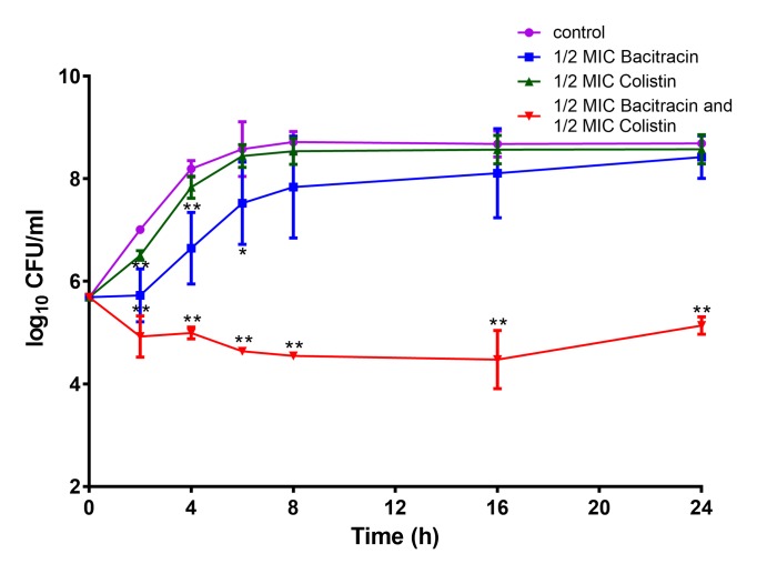 FIGURE 3