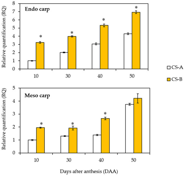 Figure 6