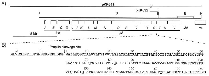 FIG. 1