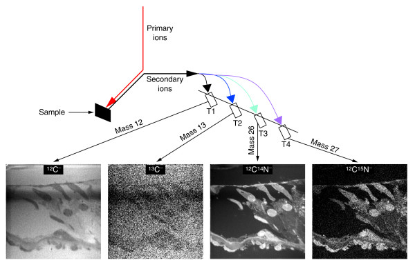 Figure 14