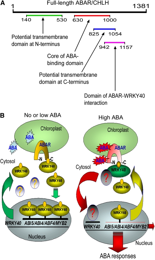 Figure 12.