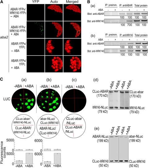 Figure 6.