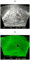 Fig. 6