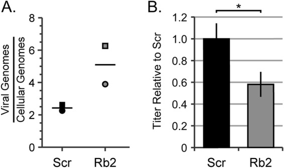 FIG 8