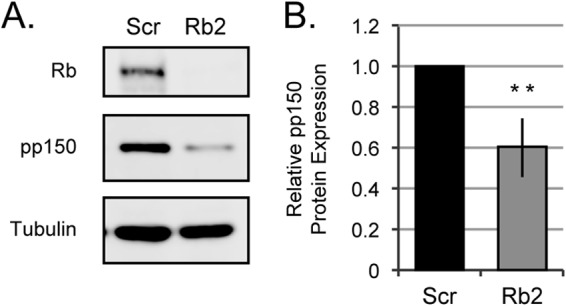 FIG 9