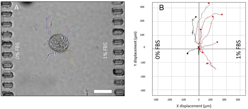 Fig 9