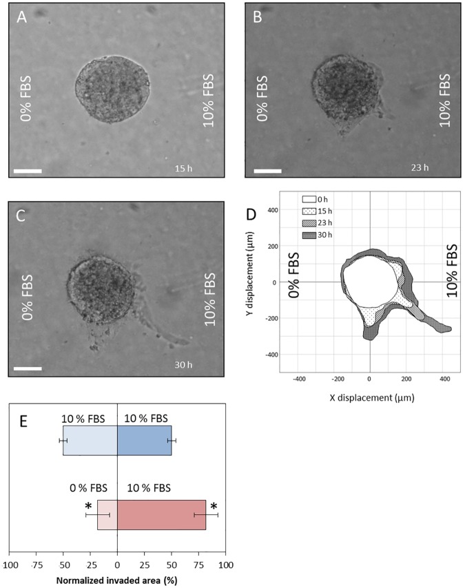 Fig 6