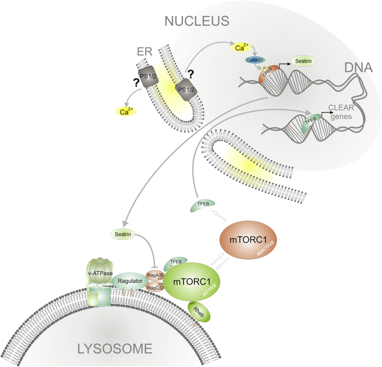 Figure 6