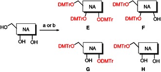 Scheme 2