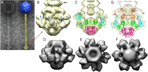 Fig. 2.