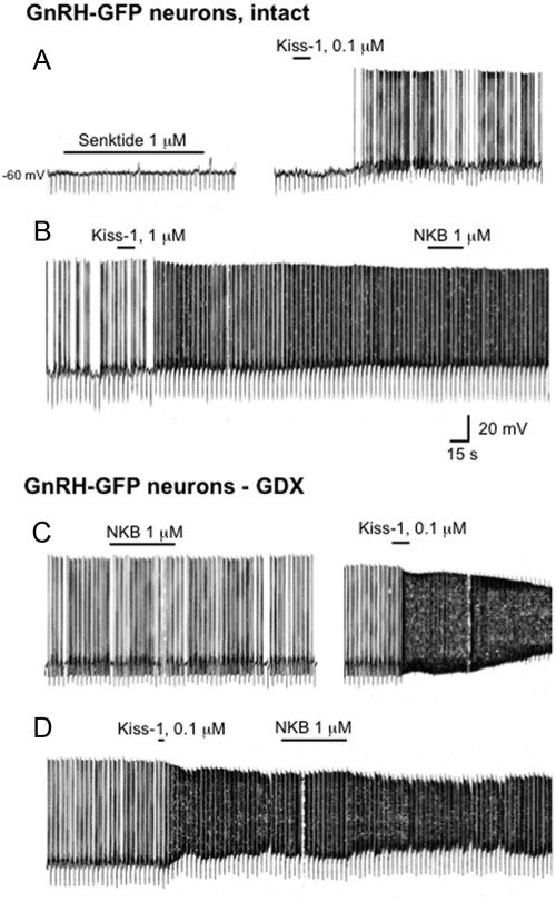 Fig. 8.