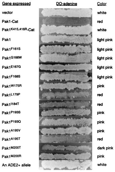 FIG. 7