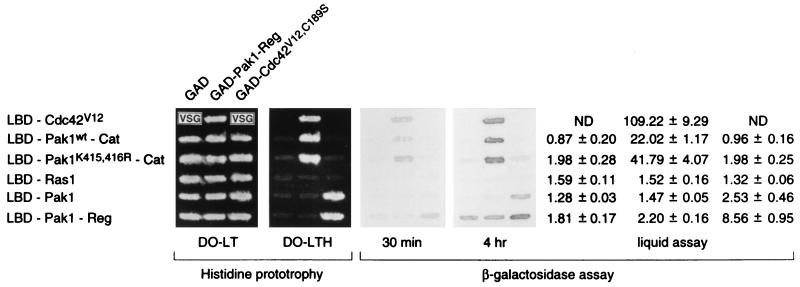 FIG. 1