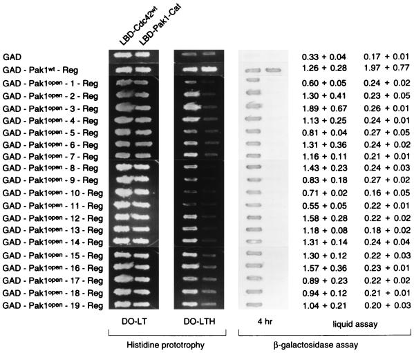 FIG. 6