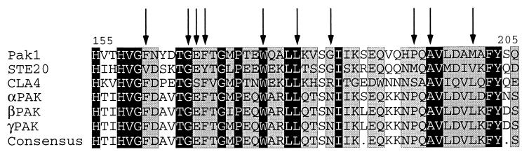 FIG. 5