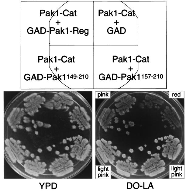 FIG. 3