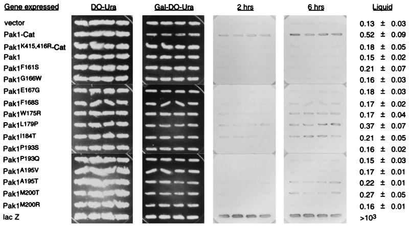 FIG. 8