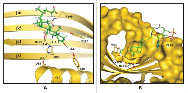 Figure 6.