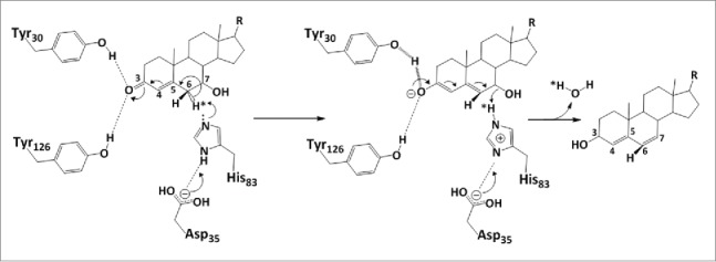 Figure 7.