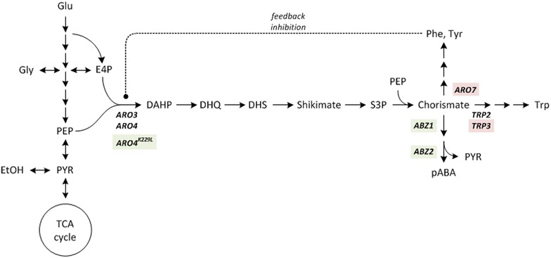 Fig. 1