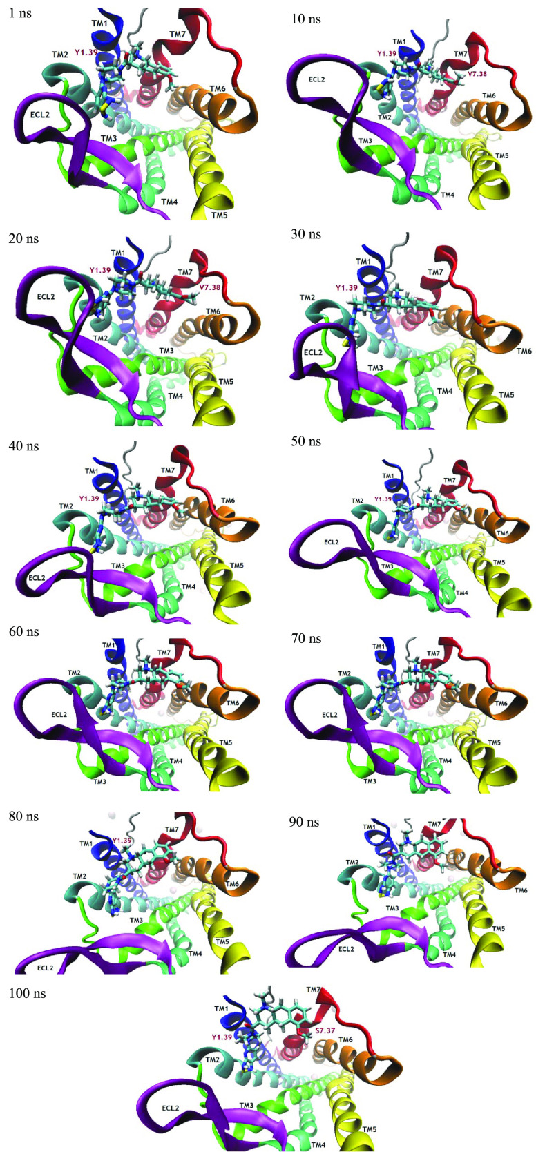 Figure 13