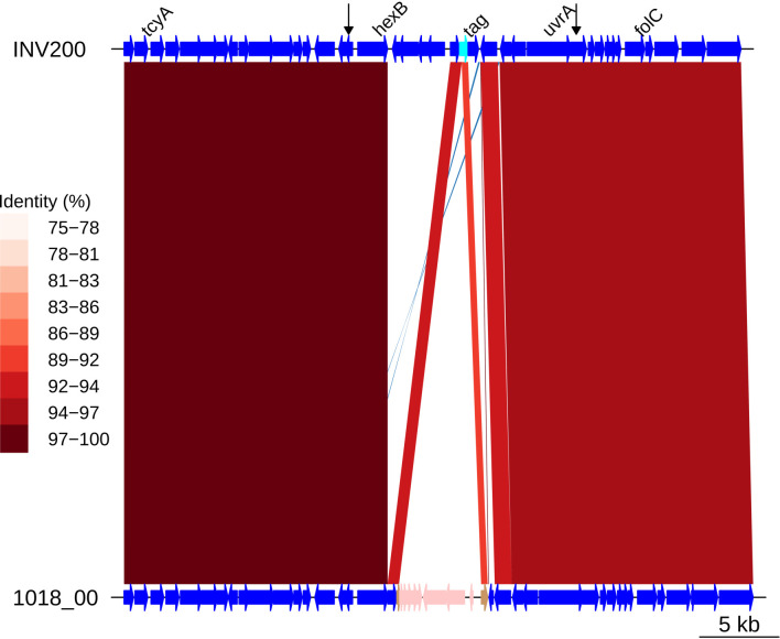 Figure 6—figure supplement 1.