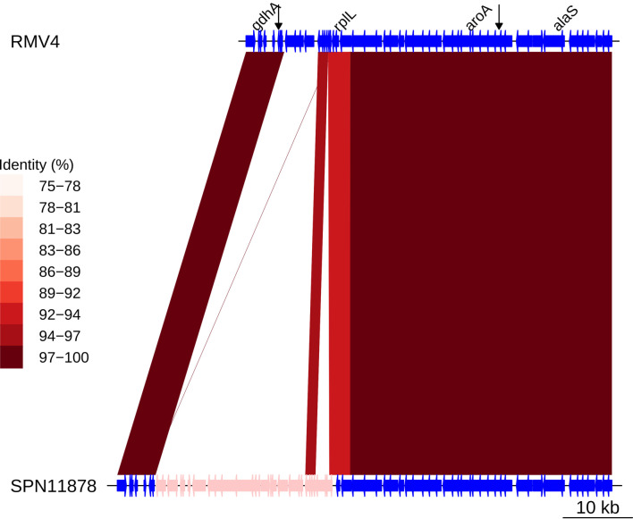 Figure 7—figure supplement 4.