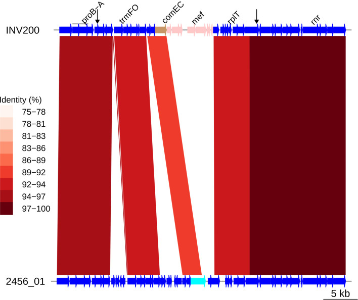 Figure 5—figure supplement 5.