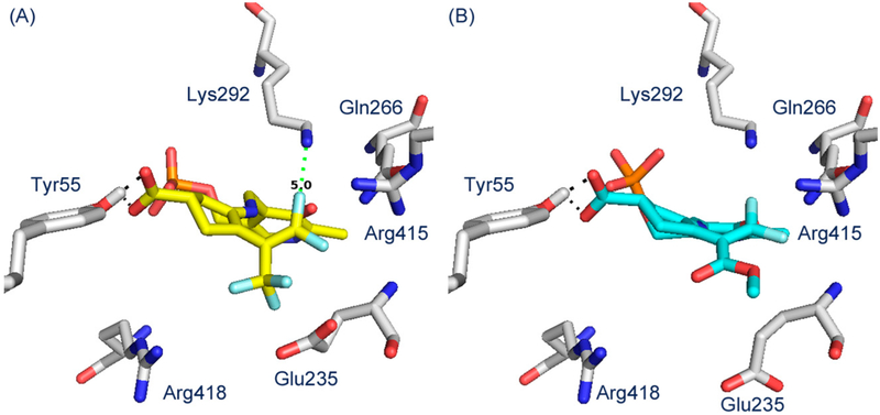 Figure 6.