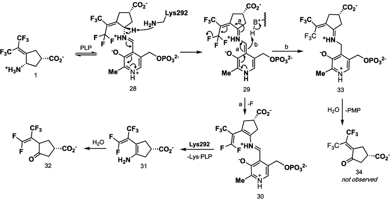 Scheme 5.