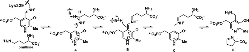 Scheme 1.