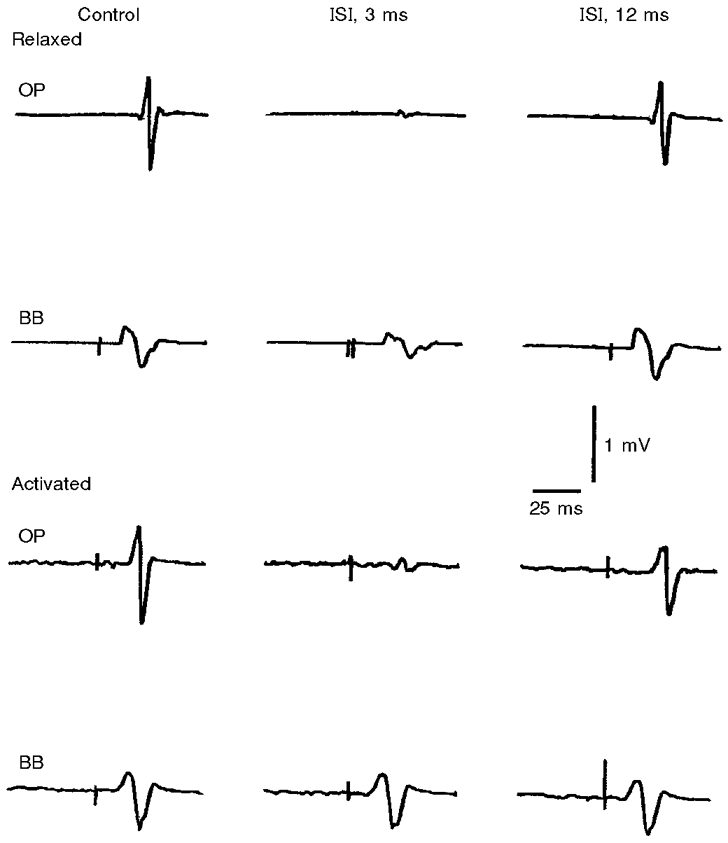 Figure 8