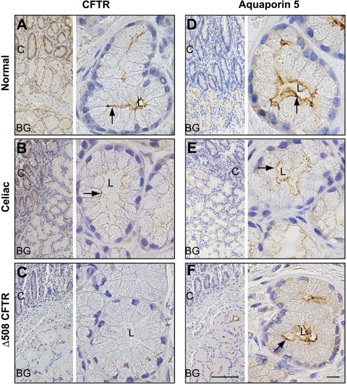 Fig. 9.