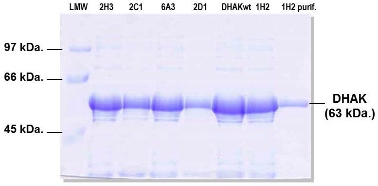 Figure 10