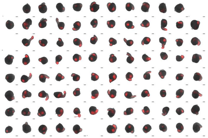 Figure 4.