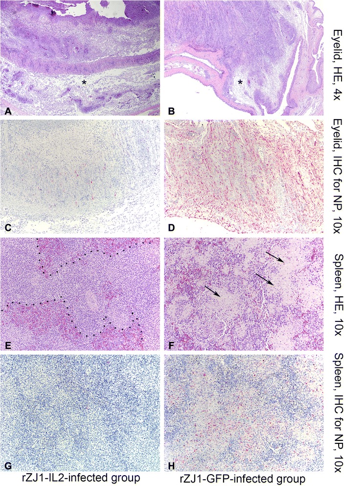 Fig. 5