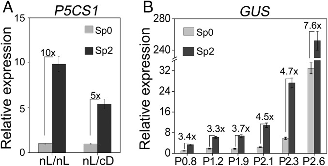 Fig. 6.