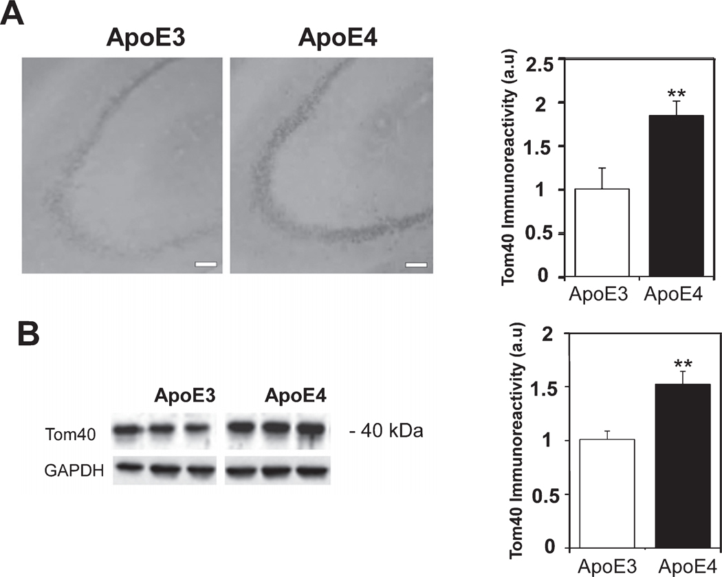 Fig. 8.