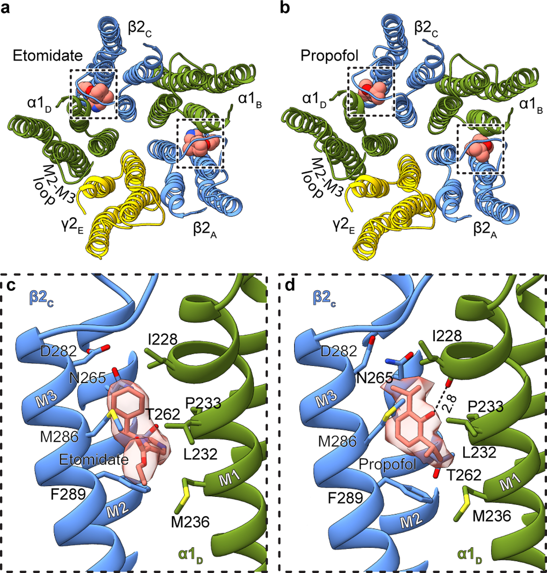 Figure 2: