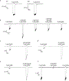 Extended Data Figure 11: